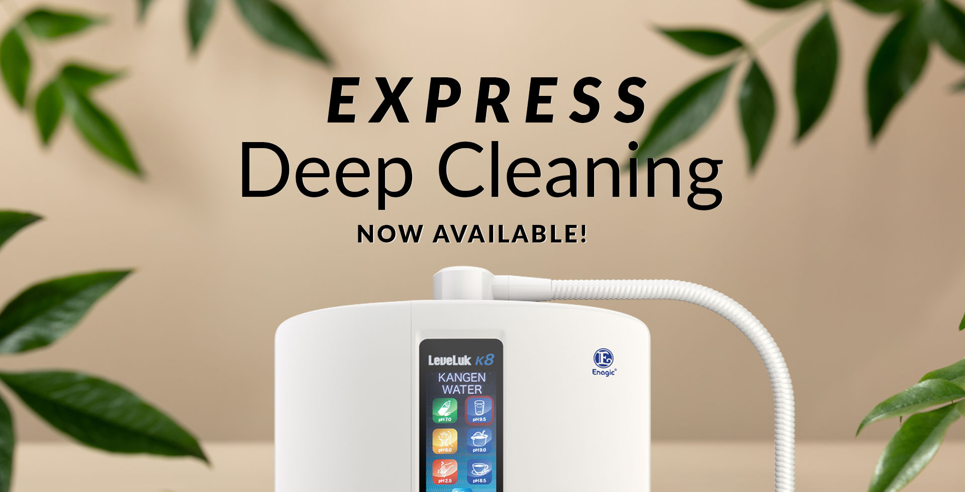 Disponibile servizio di pulizia profonda express