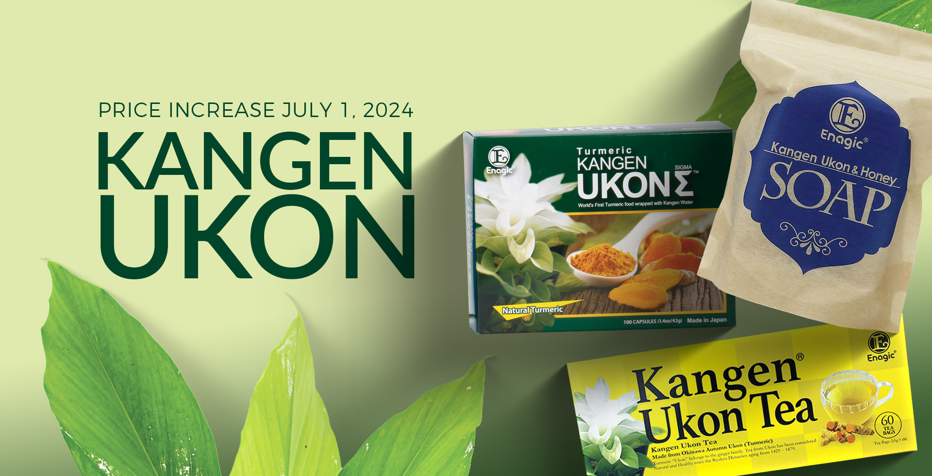 Enagic EU Ukon Price Increase