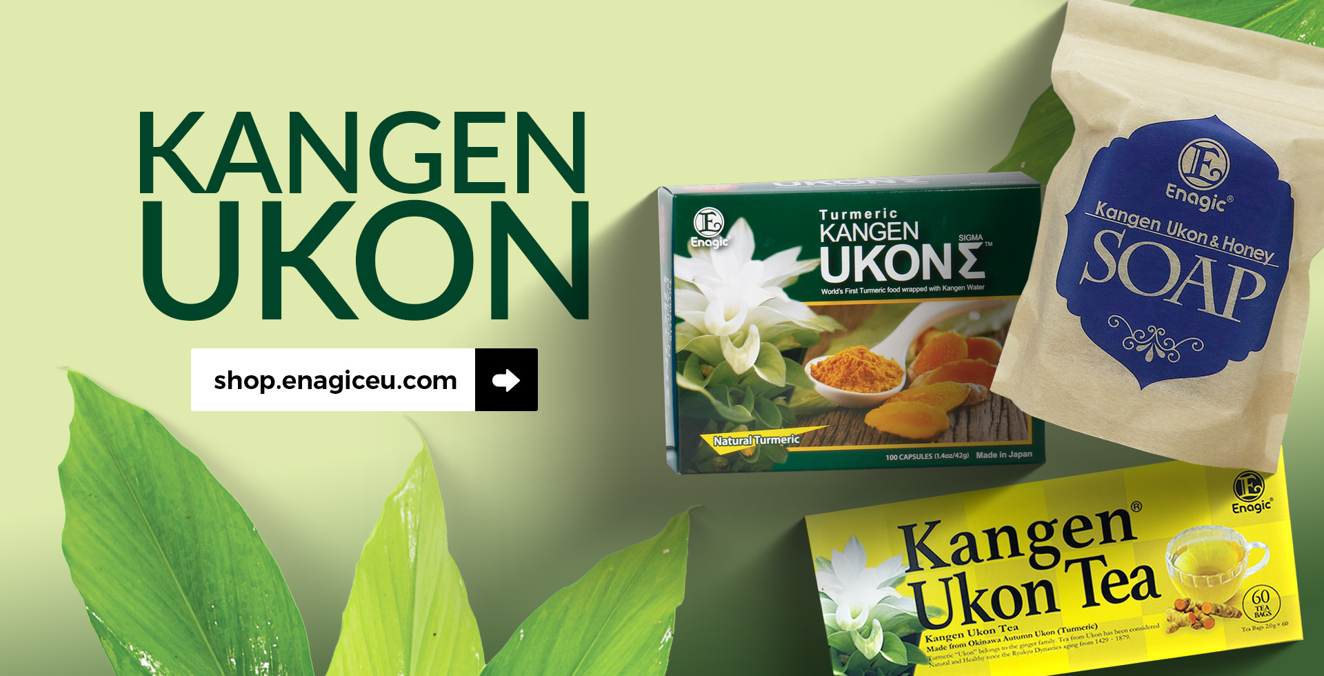 Enagic EU Ukon Products