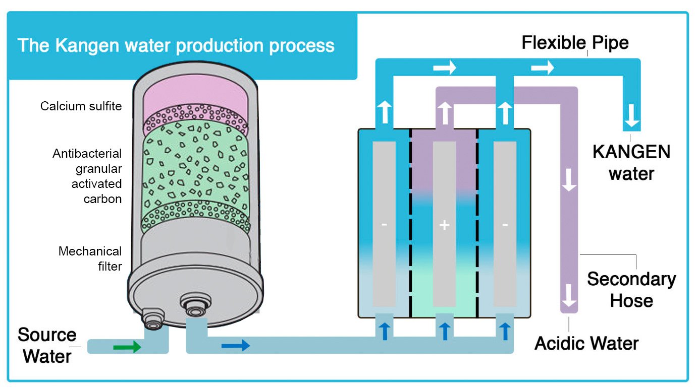 Comment votre eau du robinet devient de l'eau Kangen